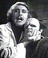Young Frankenstein