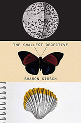 The Smallest Objective cover